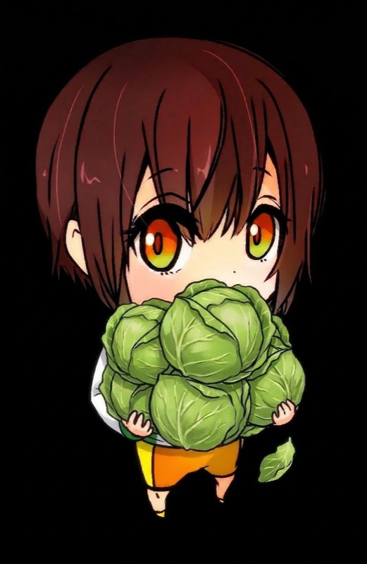 キャベツ抱え込み放題